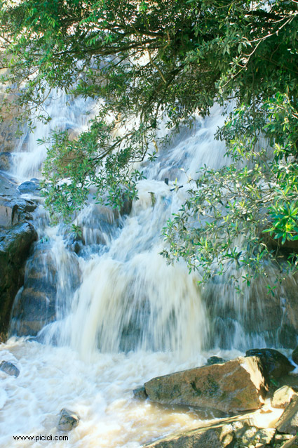 Thác Cam Ly Đà Lạt