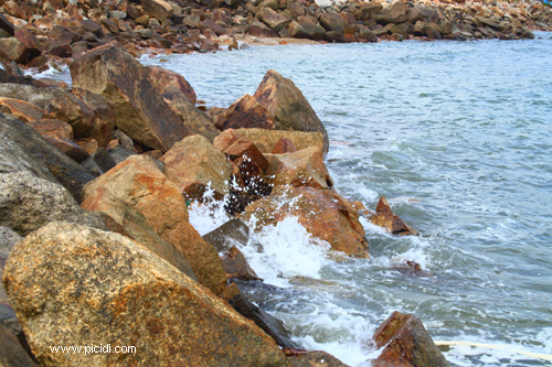 nha trang _ bai da